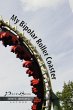 My Bipolar Roller Coaster - Bild 1