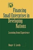 Financing Small Enterprises in Developing Nations: Learning from Experience