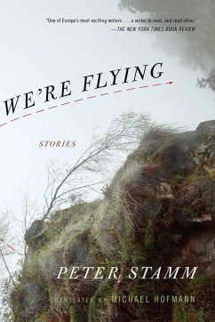 We're Flying: Stories - Stamm, Peter
