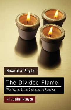 The Divided Flame - Snyder, Howard A.; Runyon, Daniel