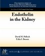 Endothelin in the Kidney - Bild 1