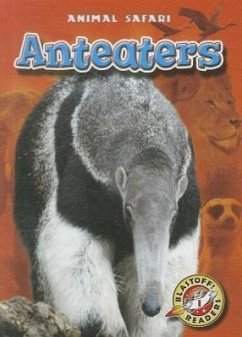 Anteaters - Borgert-Spaniol, Megan