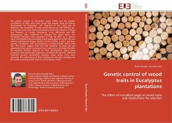 Genetic control of wood traits in Eucalyptus plantations - Gherardi Hein, Paulo Ricardo