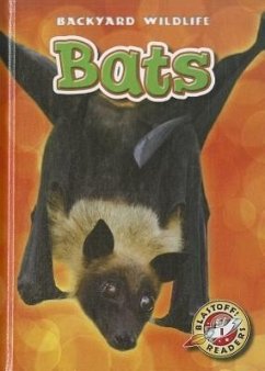 Bats - Schuetz, Kari