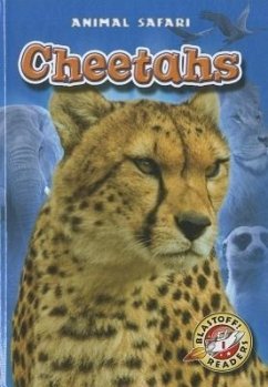 Cheetahs - Borgert-Spaniol, Megan