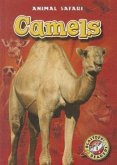 Camels