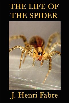 The Life of the Spider - Fabre, J. Henri