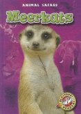 Meerkats