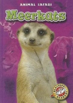 Meerkats - Schuetz, Kari