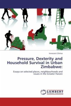 Pressure, Dexterity and Household Survival in Urban Zimbabwe: - Chirisa, Innocent