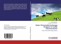 Sister Chromatid Exchange Analysis in Cattle Chromosomes