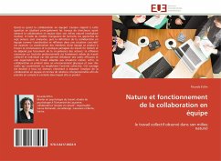 Nature et fonctionnement de la collaboration en équipe - Ettlin, Ricarda