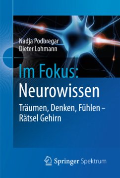 Im Fokus: Neurowissen - Podbregar, Nadja;Lohmann, Dieter