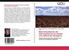 Biorremediación de hidrocarburos en suelos con déficit de nitrógeno - Acuña, Adrián Javier;Pucci, Graciela Natalia;Pucci, Oscar Héctor