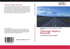 Tulancingo, Región y Desarrollo - Rodarte García, Raúl;Galindo, Emmanuel;Fernández, Georgina