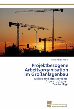 Projektbezogene Arbeitsorganisation im Großanlagenbau - Blessberger, Roland