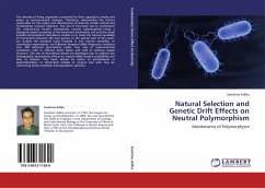 Natural Selection and Genetic Drift Effects on Neutral Polymorphism