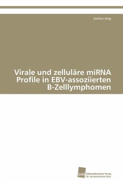 Virale und zelluläre miRNA Profile in EBV-assoziierten B-Zelllymphomen - Imig, Jochen