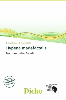 Hypena madefactalis Hypena madefactalis