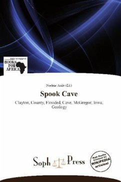 Cover Spook Cave