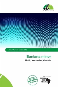 Baniana minor