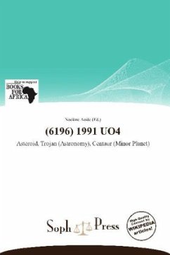 (6196) 1991 UO4