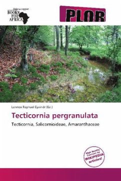 Tecticornia pergranulata