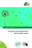 Isogona punctipennis