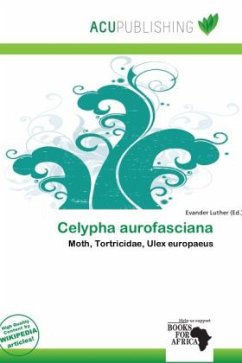 Celypha aurofasciana