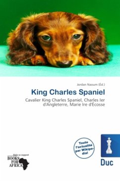 King Charles Spaniel