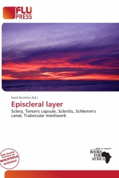 Episcleral layer