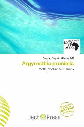 Argyresthia pruniella Argyresthia pruniella