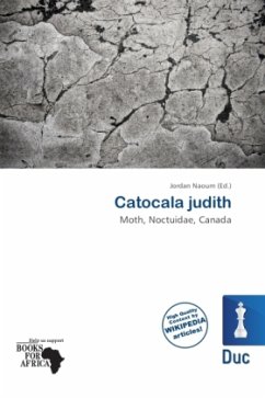 Catocala judith Cover Catocala judith