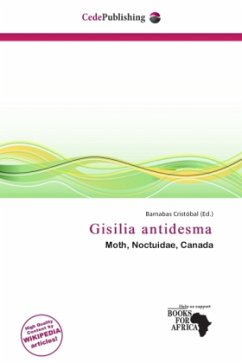 Gisilia antidesma
