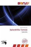 Splendrillia Tantula