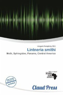 Lintneria smithi