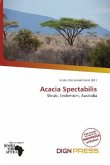 Acacia Spectabilis