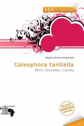 Coleophora tanitella Coleophora tanitella