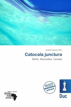 Catocala junctura Cover Catocala junctura