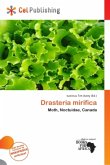 Drasteria mirifica