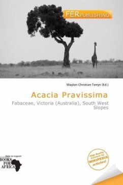 Acacia Pravissima