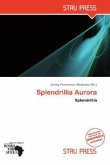 Splendrillia Aurora