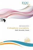 Coleophora scariphota Coleophora scariphota