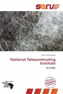 National Telecommuting Institute