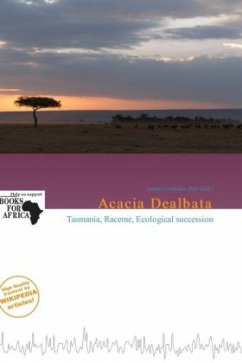 Acacia Dealbata Acacia Dealbata