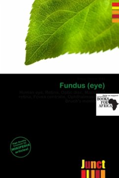 Cover Fundus (eye)