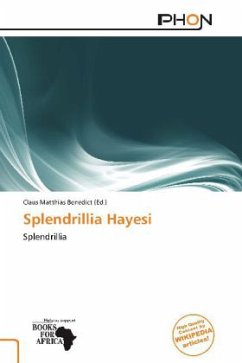 Splendrillia Hayesi