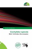 Cochylidia rupicola Cochylidia rupicola