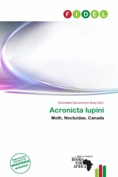 Acronicta lupini