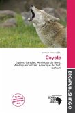 Coyote